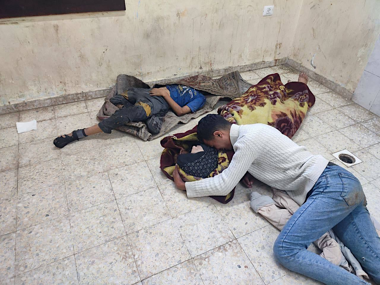 Data, October 7, 2023 - November 30, 2024 – The Gaza Strip inline image