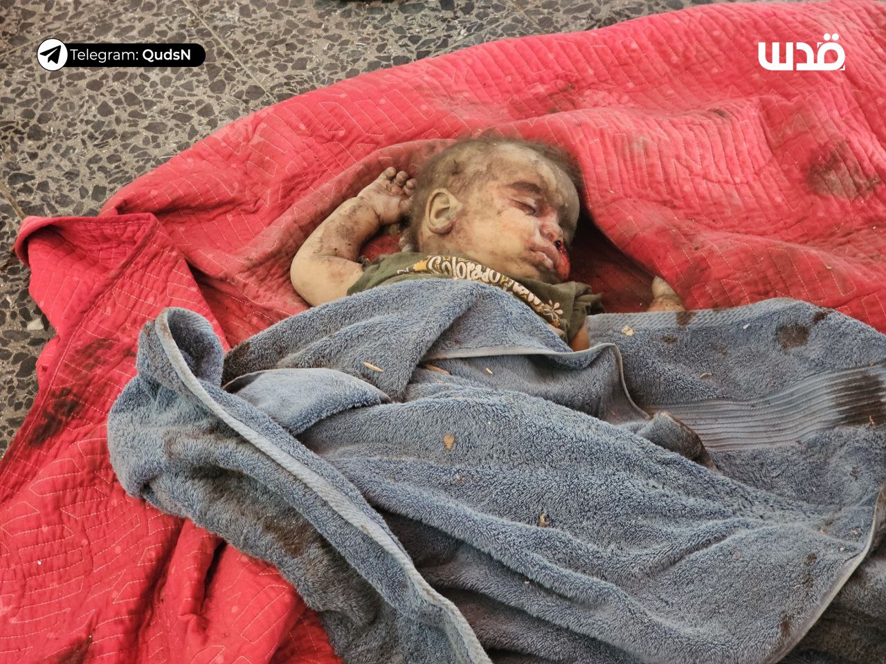 Friday, September 6, 2024 – The Gaza Strip inline image