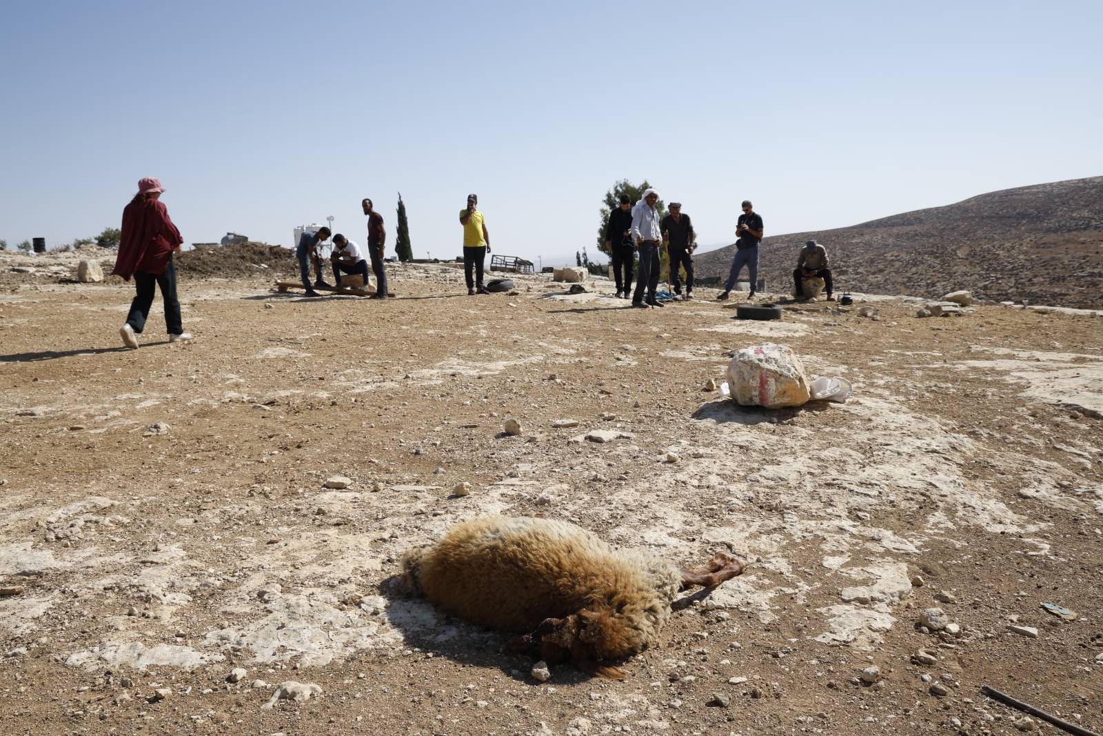 Tuesday, September 24, 2024 – The West Bank cover image