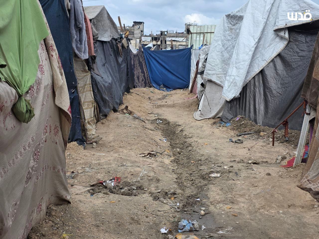 Wednesday, January 14, 2026 – The Gaza Strip inline image