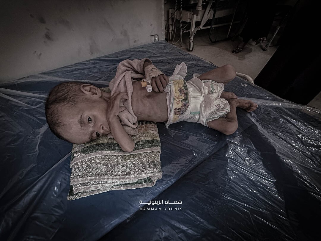 Tuesday, July 29, 2025 – The Gaza Strip inline image