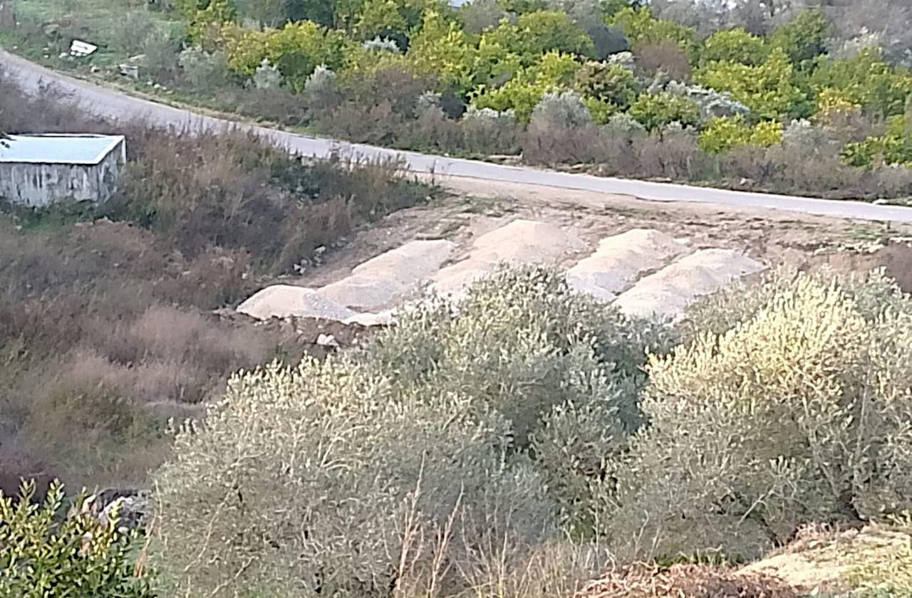 Friday, January 17, 2025 – The West Bank inline image