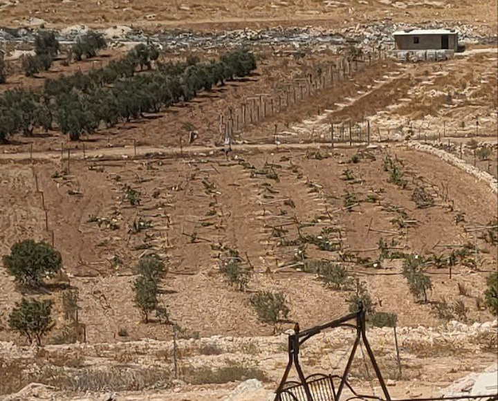 Friday, August 8, 2025 – The West Bank inline image