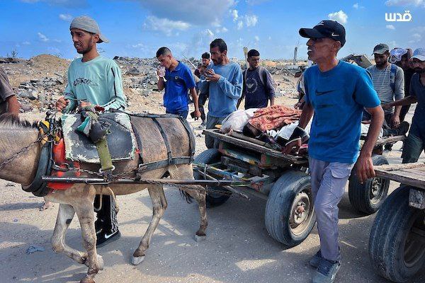 Tuesday, August 5, 2025 – The Gaza Strip inline image