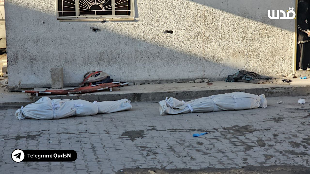 Wednesday, November 27, 2024 – The Gaza Strip inline image