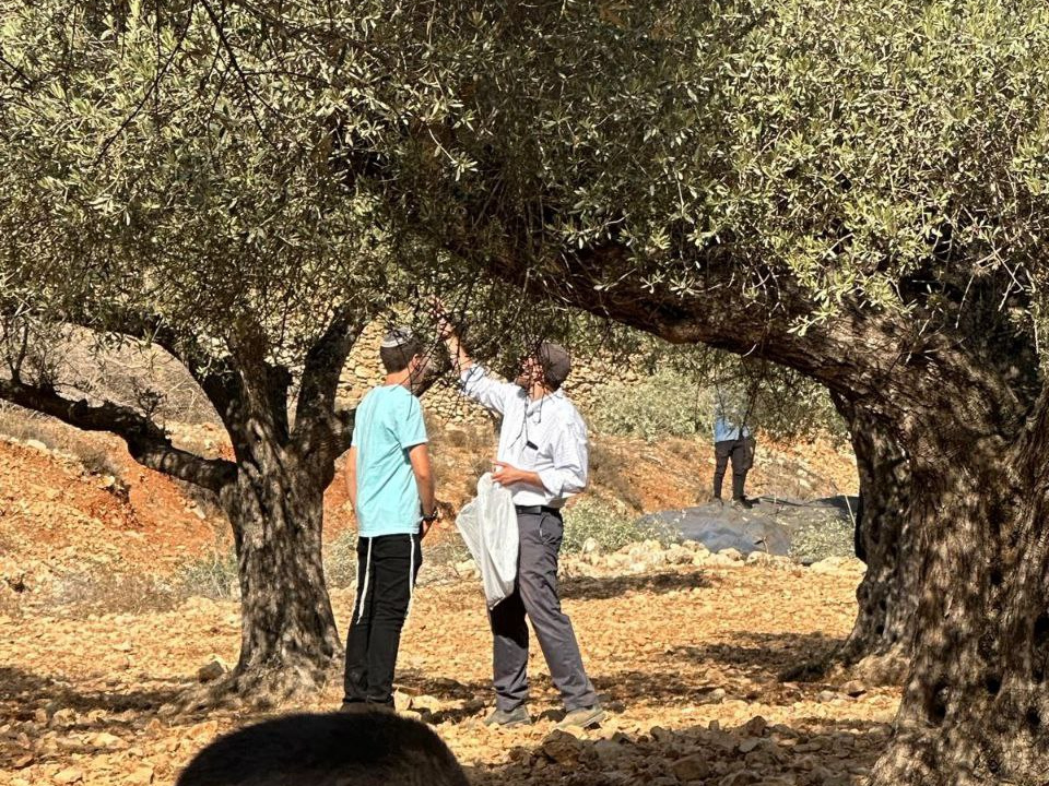 Friday, October 24, 2025 – The West Bank inline image