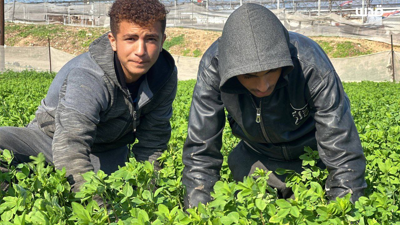 Wednesday, December 17, 2025 – The Gaza Strip inline image