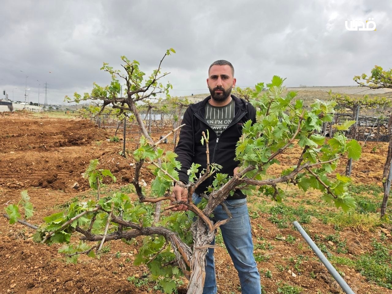 Wednesday, May 6, 2026 – The West Bank inline image