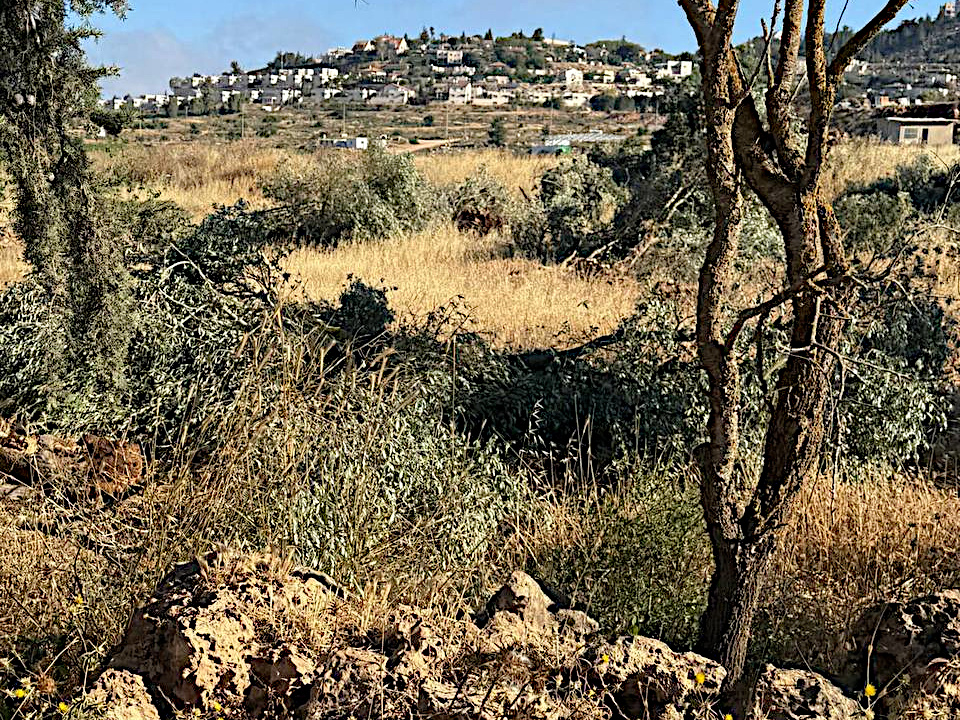 Tuesday, May 26, 2026 – The West Bank inline image
