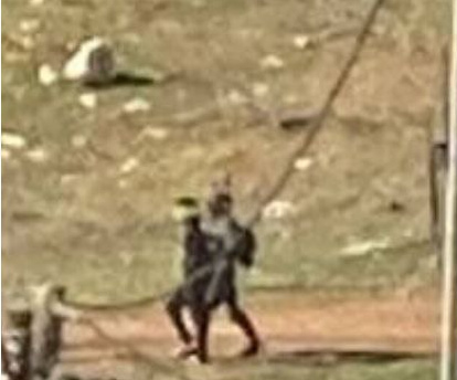 Thursday, November 27, 2025 – The West Bank inline image