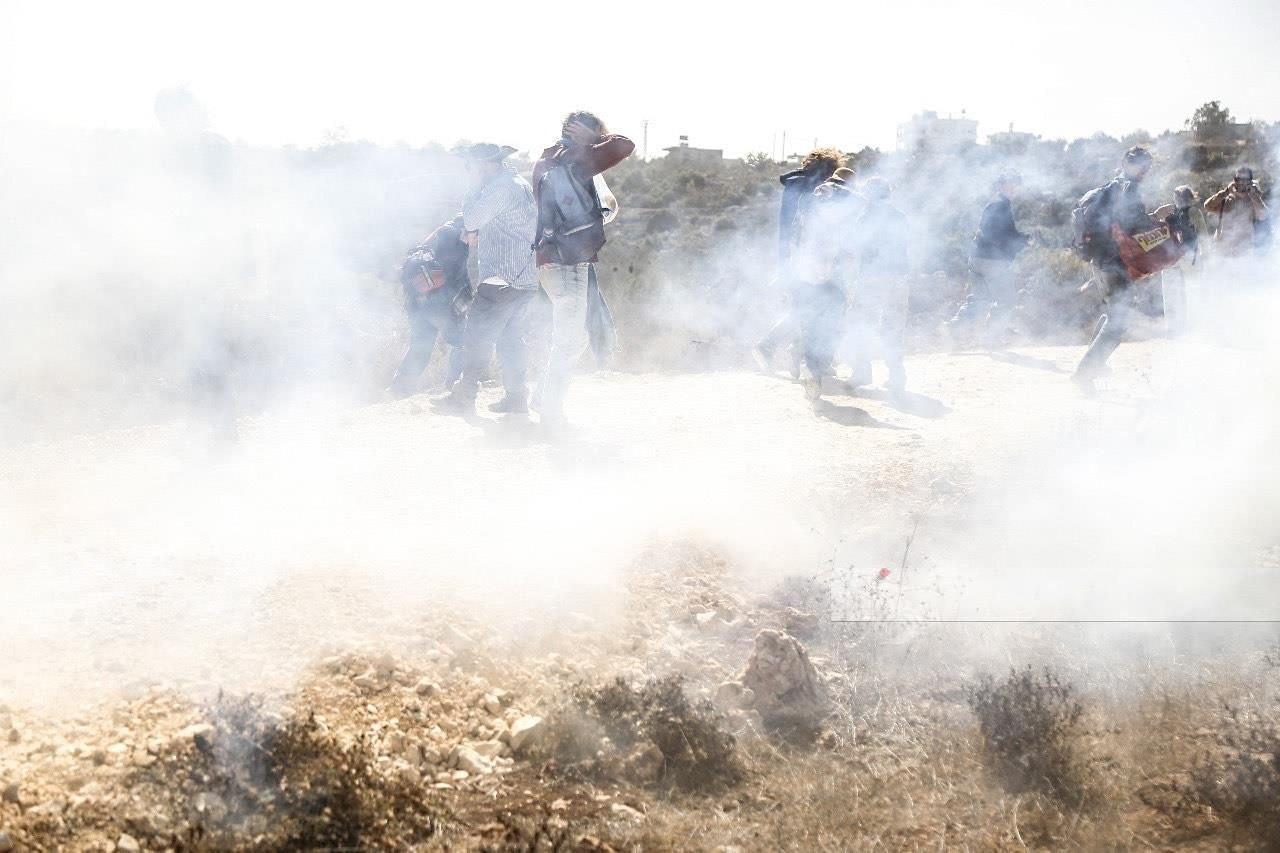 Friday, October 25, 2024 – The West Bank inline image