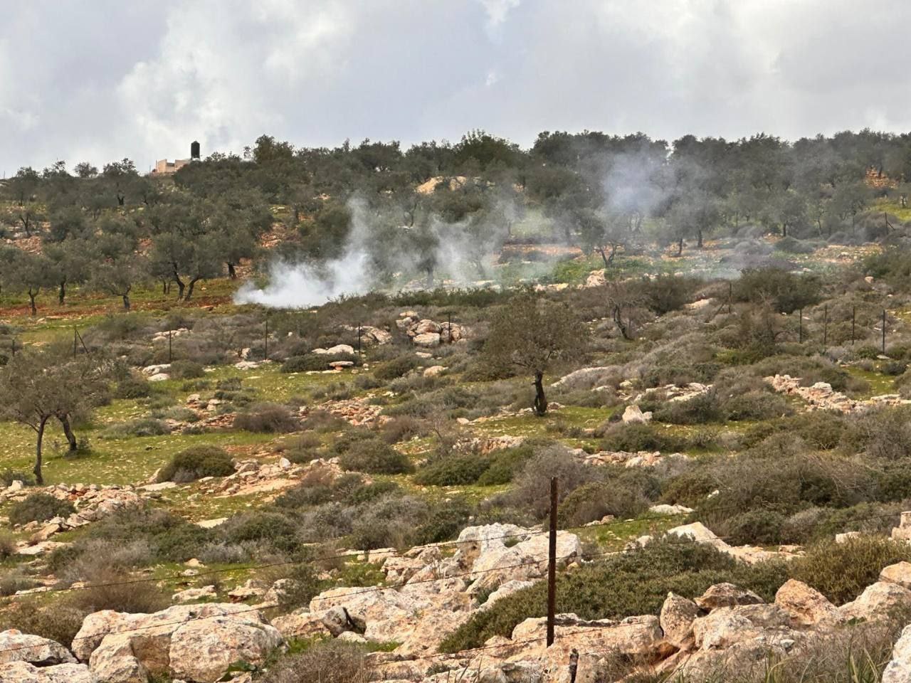 Wednesday, February 11, 2026 – The West Bank inline image