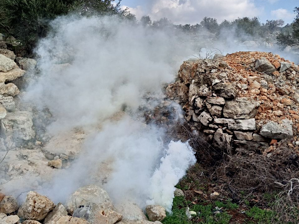 Saturday, January 11, 2025 – The West Bank inline image