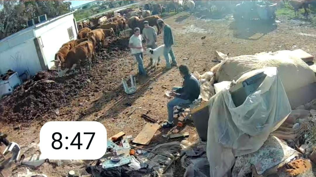 Friday, January 30, 2026 – The West Bank inline image