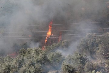 Sunday, July 21, 2024 – The West Bank inline image