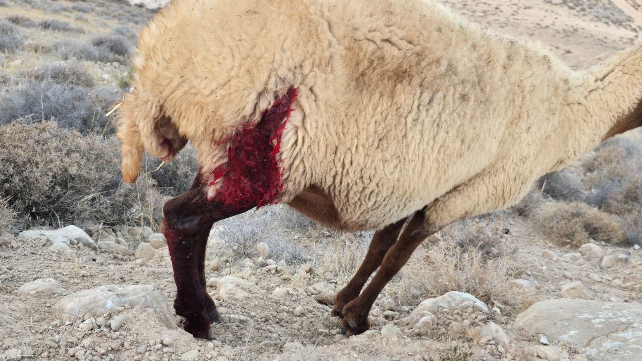 Friday, July 18, 2025 – The West Bank inline image