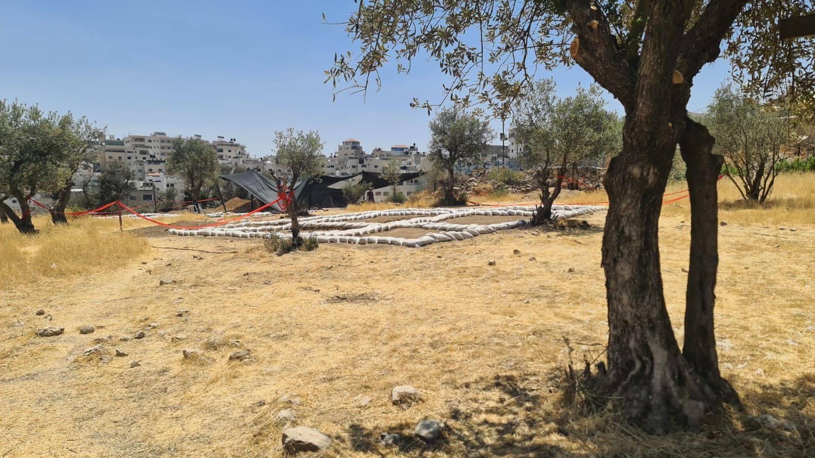 Wednesday, June 11, 2025 – The West Bank inline image