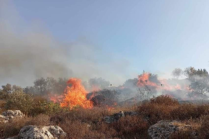 Monday, August 12, 2024 – The West Bank inline image