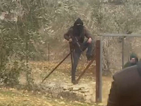 Saturday, December 28, 2024 – The West Bank inline image