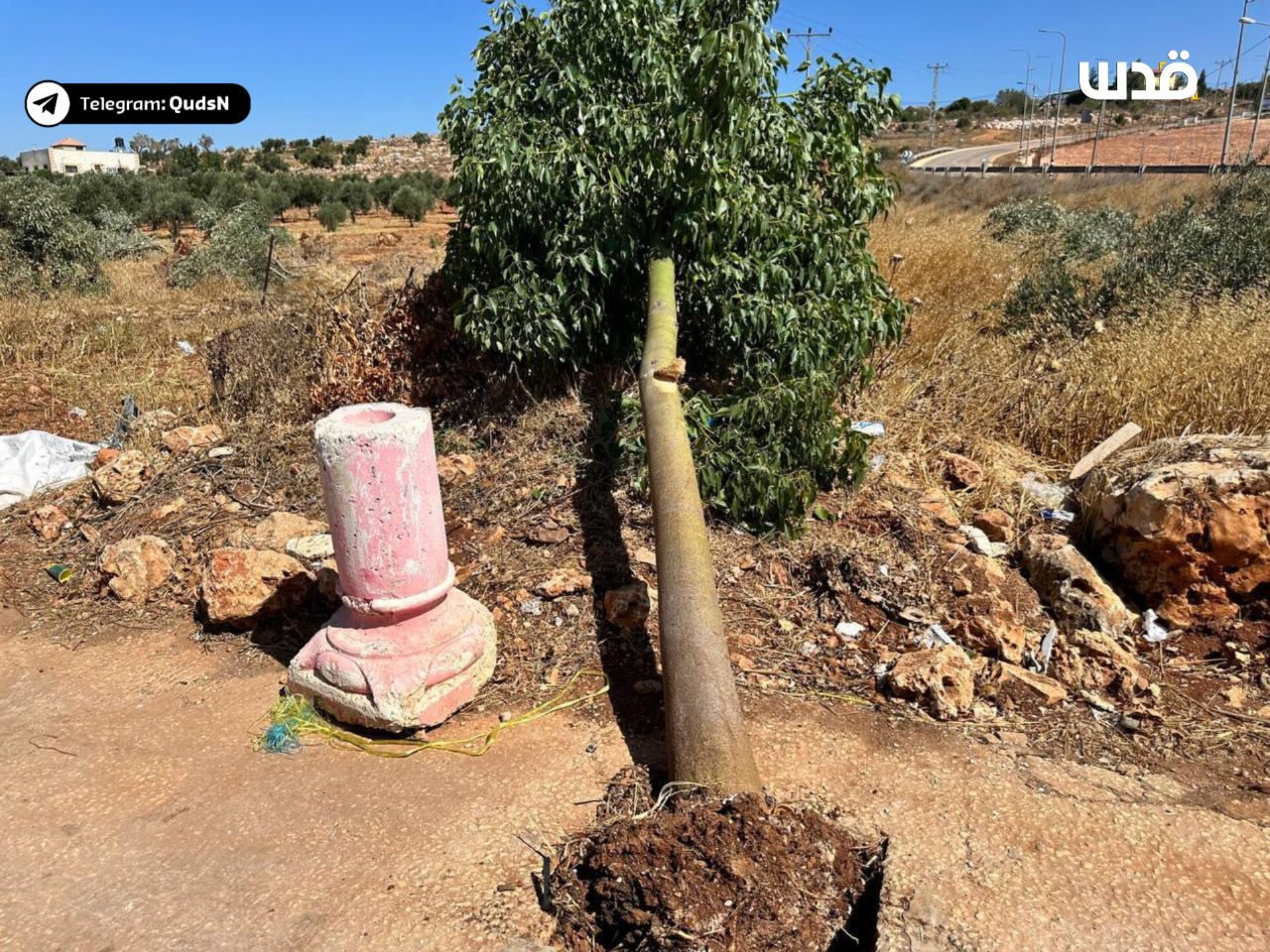 Thursday, August 1, 2024 – The West Bank inline image