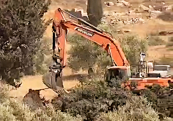Thursday, August 21, 2025 – The West Bank cover image