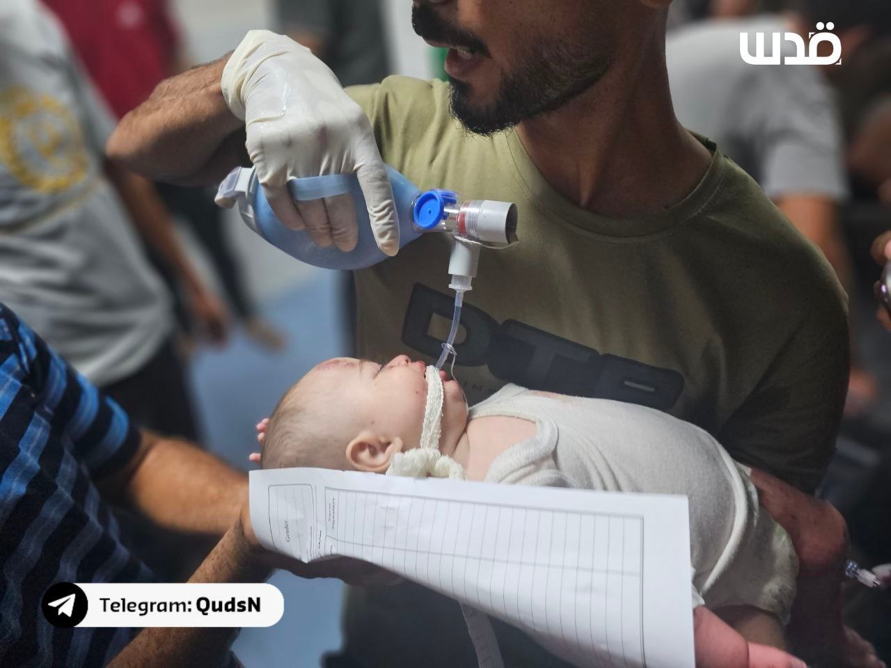 Saturday, August 31, 2024 – The Gaza Strip inline image
