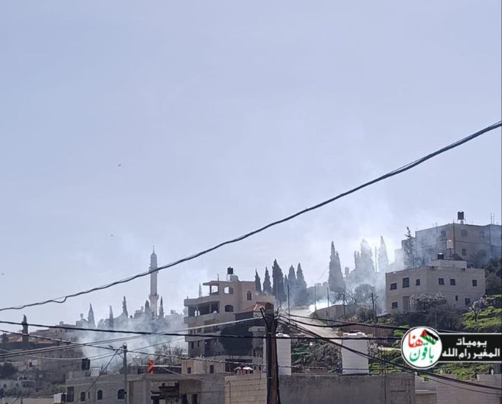 Thursday, February 12, 2026 – The West Bank inline image