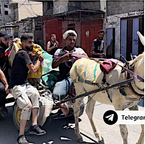 Tuesday, July 30, 2024 – The Gaza Strip inline image