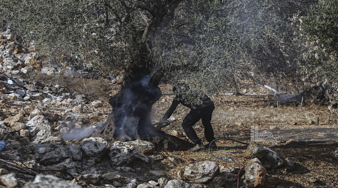 Monday, November 4, 2024 – The West Bank inline image