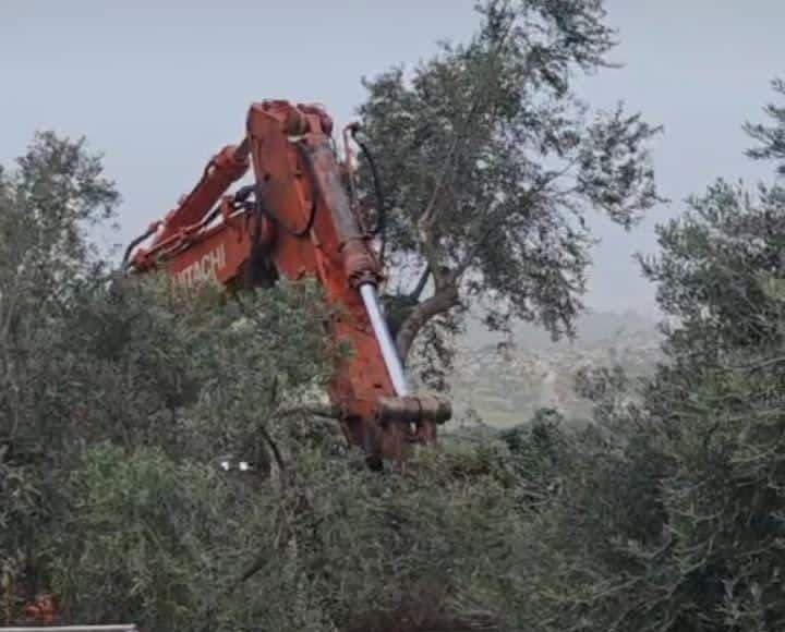 Tuesday, February 17, 2026 – The West Bank inline image