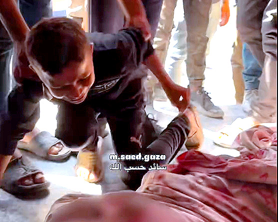 Data, October 7, 2023 - August 1, 2025 – The Gaza Strip inline image