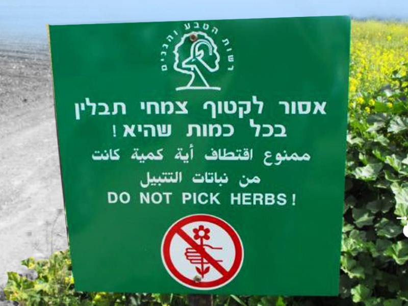 Saturday, January 10, 2026 – The West Bank cover image