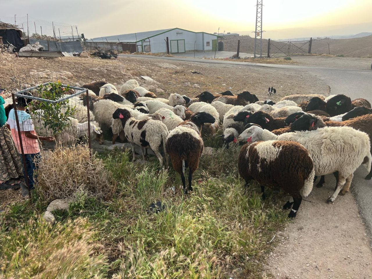 Wednesday, April 30, 2025 – The West Bank inline image