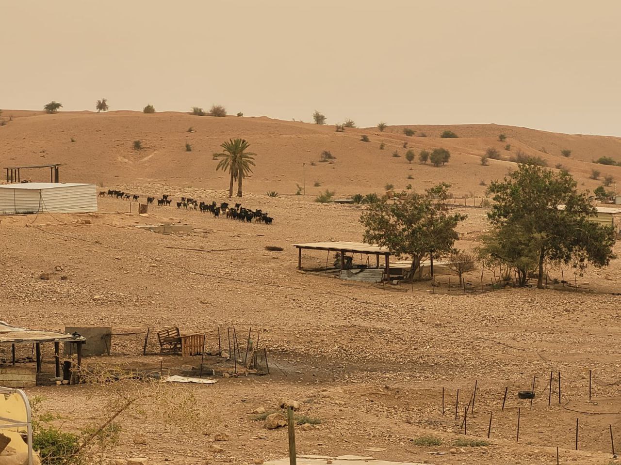 Monday, August 11, 2025 – The West Bank inline image