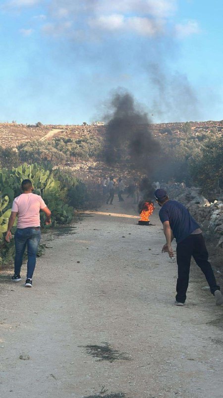 Saturday, August 24, 2024 – The West Bank inline image