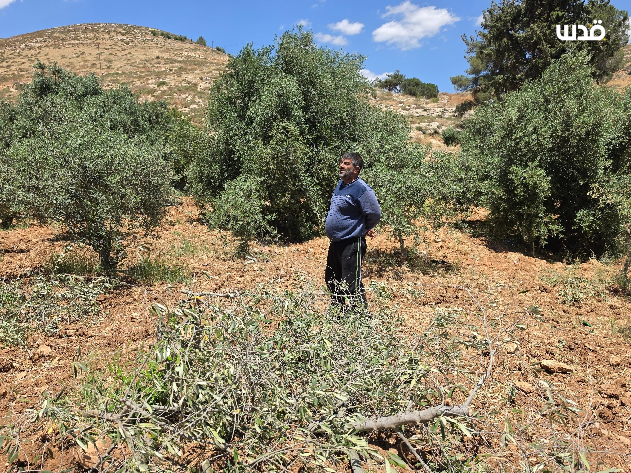 Saturday, May 23, 2026 – The West Bank inline image