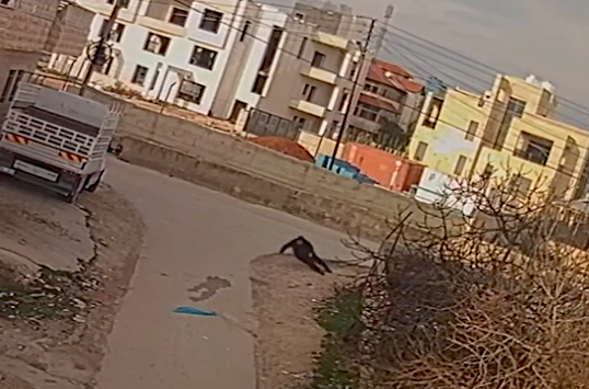 Tuesday, February 11, 2025 – The West Bank inline image