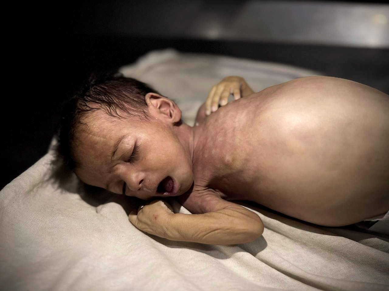 Data, October 7, 2023 - September 4, 2025 – The Gaza Strip inline image