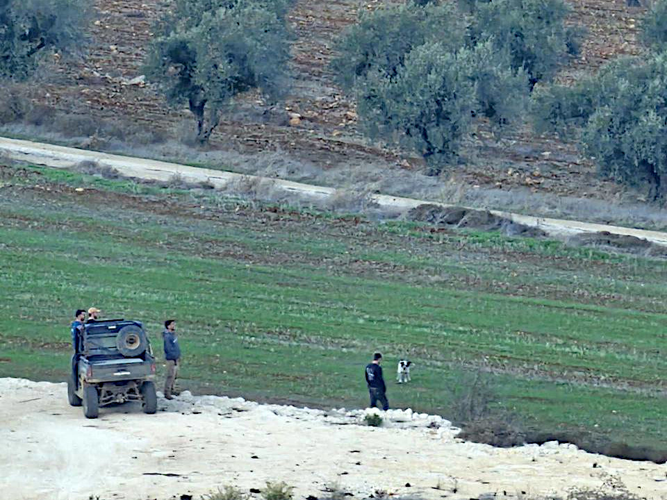 Tuesday, December 3, 2024 – The West Bank inline image