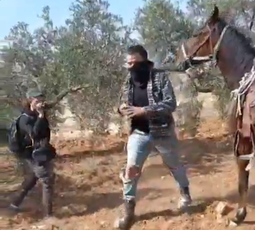 Friday, November 8, 2024 – The West Bank cover image