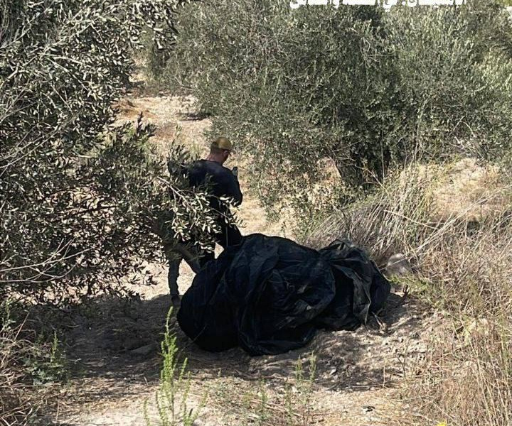 Sunday, October 5, 2025 – The West Bank inline image
