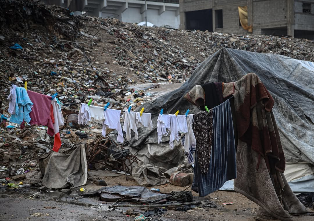 Thursday, January 1, 2026 – The Gaza Strip cover image
