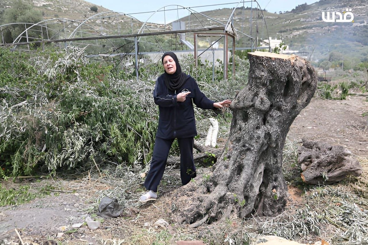 Wednesday, April 29, 2026 – The West Bank inline image