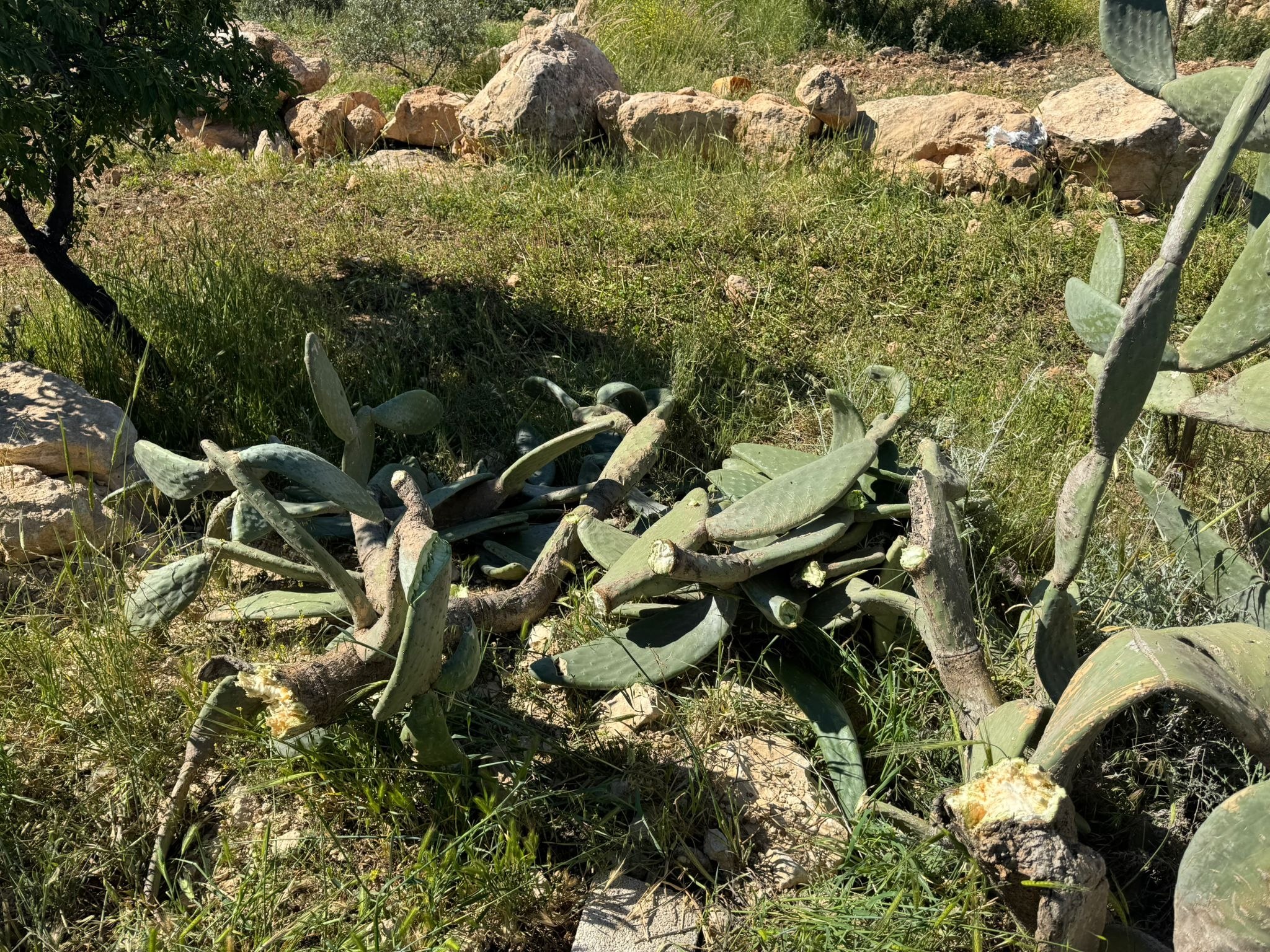 Wednesday, April 22, 2026 – The West Bank inline image
