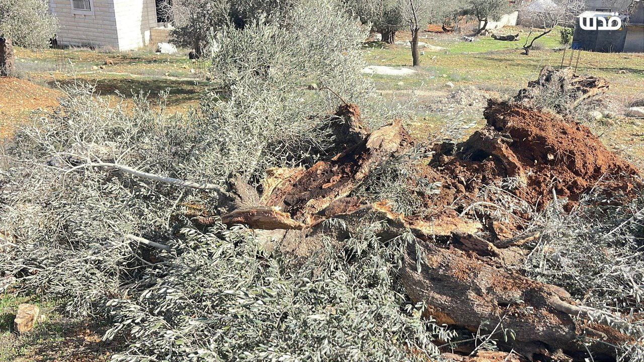 Monday, December 8, 2025 – The West Bank inline image
