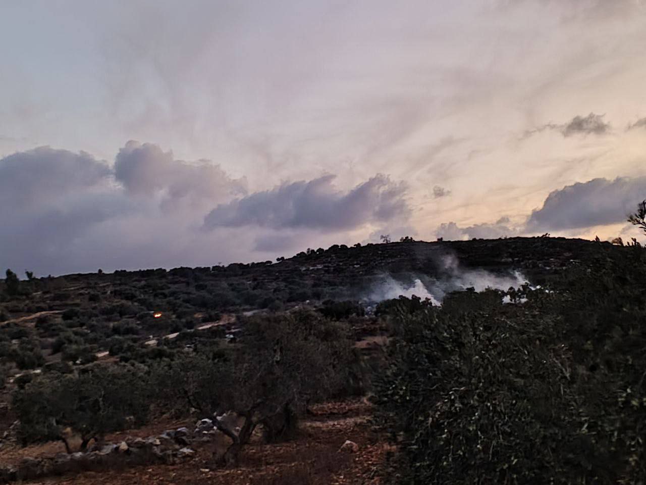 Saturday, September 21, 2024 – The West Bank inline image