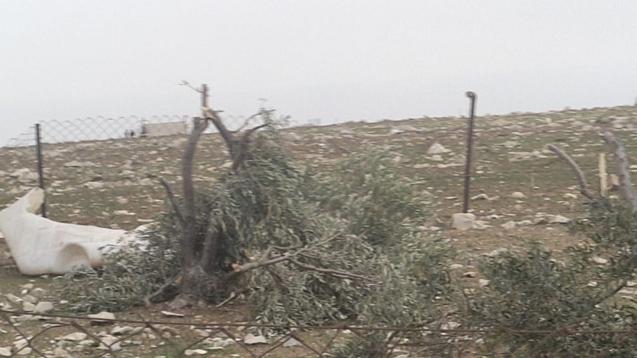 Wednesday, February 26, 2025 – The West Bank inline image
