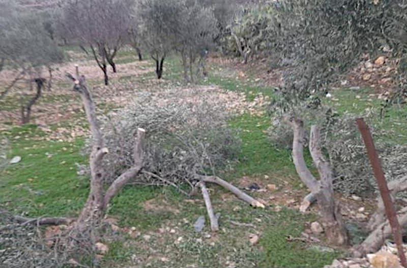 Wednesday, January 15, 2025 – The West Bank inline image