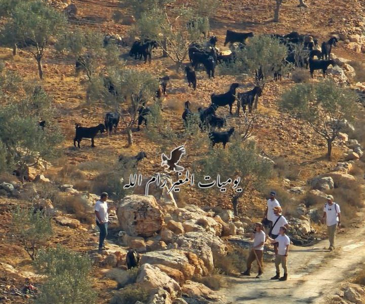 Saturday, November 8, 2025 – The West Bank inline image