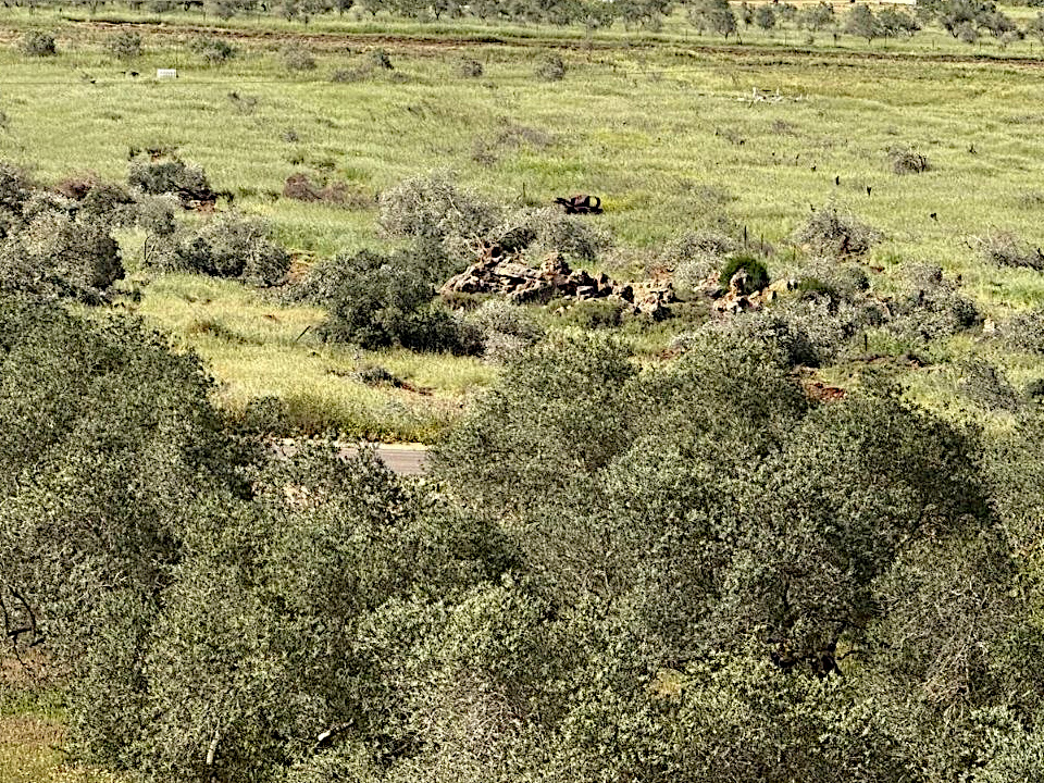 Sunday, May 3, 2026 – The West Bank inline image